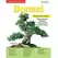 Creative Homeowners Home Gardeners Bonsai