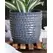 Palm Spring 9" Honey Comb Planter Dnm