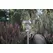 Moonrays 6pk SS Solar w/Water Glass Lens