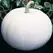 Pumpkin, Lumina White - 5,000 Seed Count