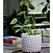 Fiesta Art 5.5" Decor Honeycomb Planter