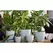 Palm Spring 10" Pc Lily Cache MLB