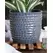 Palm Spring 5.5" Honey Comb Planter Dnm