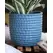 Palm Spring 5.5" Honey Comb Planter Lbl