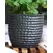 Palm Spring 6.5" Honey Comb Planter Sgy