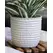 Palm Spring 7.5" Honey Comb Planter Ssl