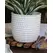 Palm Spring 9" Honey Comb Planter Mwh