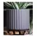 Palm Spring 6.5" Brush Comb Sgy Planter