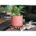 Palm Spring 8" Brush Comb Planter Hbs