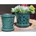 Verandah 6" Jade Waikiki Orchid Pot