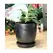 Verandah 7" Svr Maui Pot