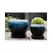 Verandah Gerberba Size A Wbk