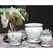 Verandah 6.0" Wsp Hilo Orchid Pot