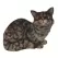 MCarr Cat Sitting Down Meowing Tiger Gray