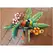 Talavera Metal Art Parrot