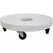 Devault 16" Plant Dolly White