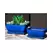 Verandah 9x7 Rosemary Bonsai F Blue