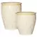 MCarr 30pc Round Fern Planter Pallet Light Cream