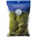 SuperMoss Topa Moss PR HB8 Fresh Green