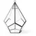 SuperMoss Glass Terrarium Teardrop