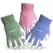 BOSS Lady Guardian Angel Leather Palm