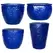MCarr 26pc Trail Vine Planter Pallet Admiral Blue