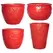 MCarr 26pc Trail Vine Planter Pallet Red