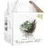 SSI Serenity Terrarium Kit