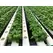 TAPKIT 30'x90' Retrofit Hydroponic System - 9,568 Planting Holes