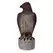 Bird B Gone Hawk
