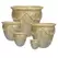 MCarr 5PC Rnd Roman Garland Flat Rim Planter Jungle Rain