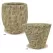 MCarr 30PC Wood Pattern Planter Plt Mossy Yellow