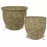MCarr 40PC Belly & Egg Plntr PLT Mossy Yellow