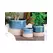 Jewel 4.5" Mug Pot Ntb