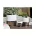 Jewel 5.5" Cache Pot Ivw