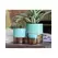 Jewel 5.5" Cache Pot Thb