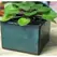 Verandah 5x3.5 Square Self Watering Jade