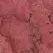 SuperMoss 4oz Reindeer Moss Fushia