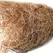 SuperMoss .6cuft Mini Bale Coco Peat Buff Natural