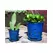 Verandah 7.5" F Blue Waikiki Orchid Pot