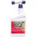 Bonide Qt Dead Bug Brew RTS With Hose End Sprayer