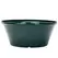 Gardener Select 12" Tulip Bowl Dk Green Planter 15/CS