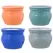 MCarr 8PC 6" Self Water Round Pot Asst