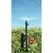 Rain Drip Half Circle Adj Spray 7GPH