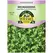 Microgreens, Vates Blue Curled Scotch Kale - 4 Gram