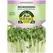 Microgreens, White Lady Turnip - 500 Mg