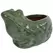 MCarr 13" Frog Planter Falling Green ECOM
