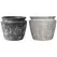 MCarr 24pc India Planter Pallet Mixed Colors