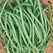 Beans, Slenderette Bush - 50lb