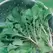 Turnips, Seven Top - 1/2oz